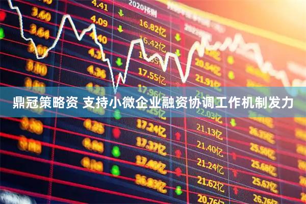 鼎冠策略资 支持小微企业融资协调工作机制发力