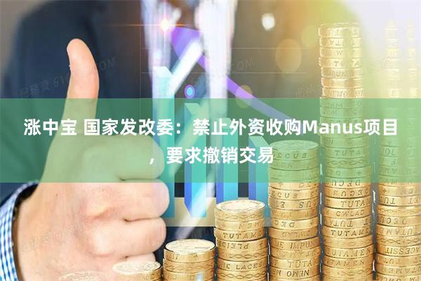 涨中宝 国家发改委：禁止外资收购Manus项目，要求撤销交易