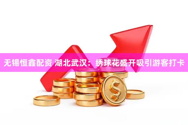 无锡恒鑫配资 湖北武汉：绣球花盛开吸引游客打卡