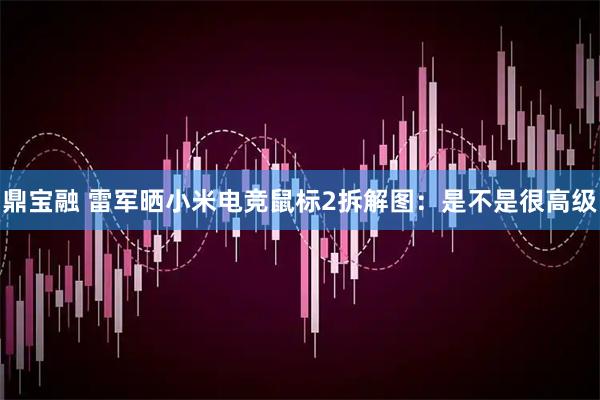 鼎宝融 雷军晒小米电竞鼠标2拆解图：是不是很高级