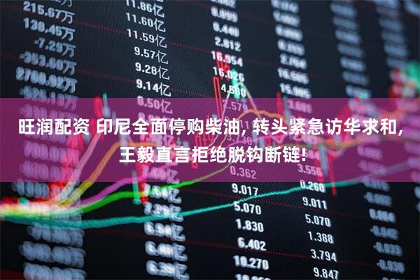 旺润配资 印尼全面停购柴油, 转头紧急访华求和, 王毅直言拒绝脱钩断链!