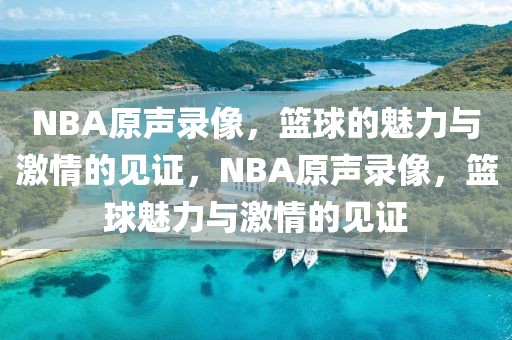 NBA原声录像，篮球的魅力与激情的见证，NBA原声录像，篮球魅力与激情的见证