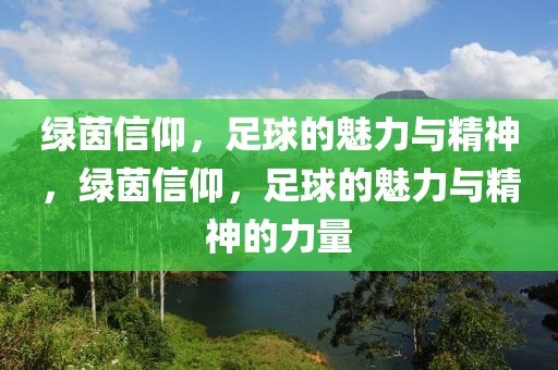 绿茵信仰，足球的魅力与精神，绿茵信仰，足球的魅力与精神的力量