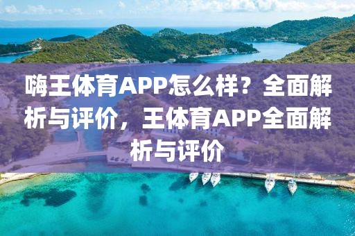 嗨王体育APP怎么样？全面解析与评价，王体育APP全面解析与评价