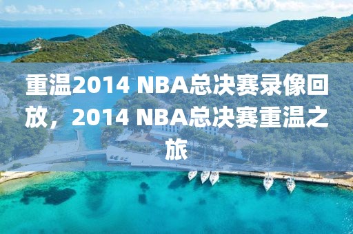 重温2014 NBA总决赛录像回放，2014 NBA总决赛重温之旅