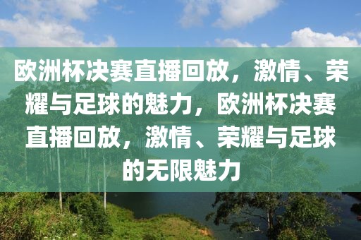 欧洲杯决赛直播回放，激情、荣耀与足球的魅力，欧洲杯决赛直播回放，激情、荣耀与足球的无限魅力