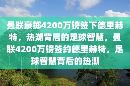 曼联豪掷4200万镑签下德里赫特，热潮背后的足球智慧，曼联4200万镑签约德里赫特，足球智慧背后的热潮