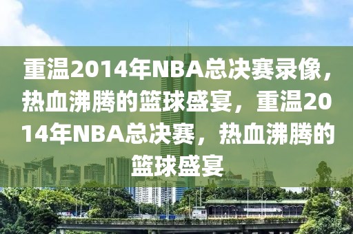 重温2014年NBA总决赛录像，热血沸腾的篮球盛宴，重温2014年NBA总决赛，热血沸腾的篮球盛宴