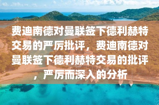 费迪南德对曼联签下德利赫特交易的严厉批评，费迪南德对曼联签下德利赫特交易的批评，严厉而深入的分析