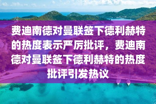 费迪南德对曼联签下德利赫特的热度表示严厉批评，费迪南德对曼联签下德利赫特的热度批评引发热议