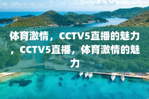 体育激情，CCTV5直播的魅力，CCTV5直播，体育激情的魅力