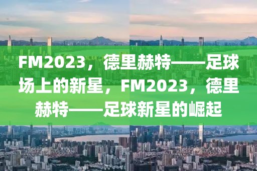 FM2023，德里赫特——足球场上的新星，FM2023，德里赫特——足球新星的崛起