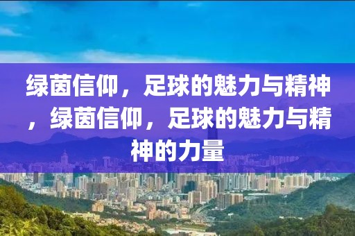 绿茵信仰，足球的魅力与精神，绿茵信仰，足球的魅力与精神的力量