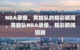 NBA录像，黄蜂队的精彩瞬间，黄蜂队NBA录像，精彩瞬间回顾