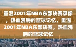 重温2001年NBA东部决赛录像，热血沸腾的篮球记忆，重温2001年NBA东部决赛，热血沸腾的篮球记忆