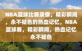 NBA篮球比赛录像，精彩瞬间，永不褪色的热血记忆，NBA篮球赛，精彩瞬间，热血记忆永不褪色