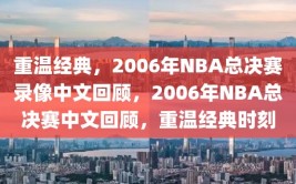 重温经典，2006年NBA总决赛录像中文回顾，2006年NBA总决赛中文回顾，重温经典时刻