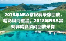 2018年NBA常规赛录像回放，精彩瞬间重温，2018年NBA常规赛精彩瞬间回放录像