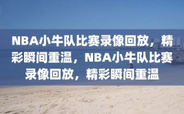 NBA小牛队比赛录像回放，精彩瞬间重温，NBA小牛队比赛录像回放，精彩瞬间重温