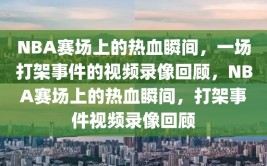 NBA赛场上的热血瞬间，一场打架事件的视频录像回顾，NBA赛场上的热血瞬间，打架事件视频录像回顾