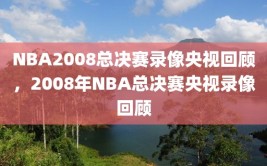 NBA2008总决赛录像央视回顾，2008年NBA总决赛央视录像回顾