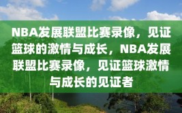 NBA发展联盟比赛录像，见证篮球的激情与成长，NBA发展联盟比赛录像，见证篮球激情与成长的见证者