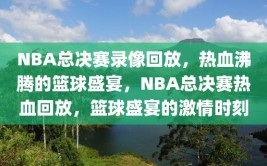 NBA总决赛录像回放，热血沸腾的篮球盛宴，NBA总决赛热血回放，篮球盛宴的激情时刻