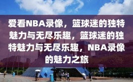 爱看NBA录像，篮球迷的独特魅力与无尽乐趣，篮球迷的独特魅力与无尽乐趣，NBA录像的魅力之旅