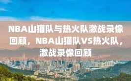 NBA山猫队与热火队激战录像回顾，NBA山猫队VS热火队，激战录像回顾