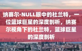 纳赛尔·NULL眼中的杜兰特，一位篮球巨星的深度剖析，纳赛尔视角下的杜兰特，篮球巨星的深度剖析