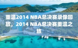 重温2014 NBA总决赛录像回放，2014 NBA总决赛重温之旅