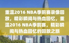 重温2016 NBA季前赛录像回放，精彩瞬间与热血回忆，重温2016 NBA季前赛，精彩瞬间与热血回忆的回放之旅