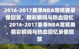 2016-2017赛季NBA常规赛录像回放，精彩瞬间与热血回忆，2016-2017赛季NBA常规赛，精彩瞬间与热血回忆录像回放