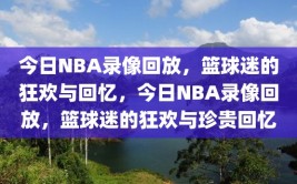 今日NBA录像回放，篮球迷的狂欢与回忆，今日NBA录像回放，篮球迷的狂欢与珍贵回忆