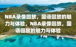 NBA录像回放，国语回放的魅力与体验，NBA录像回放，国语回放的魅力与体验