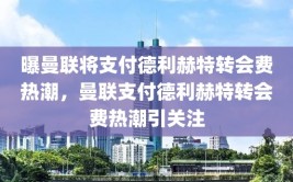 曝曼联将支付德利赫特转会费热潮，曼联支付德利赫特转会费热潮引关注