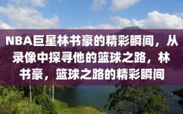 NBA巨星林书豪的精彩瞬间，从录像中探寻他的篮球之路，林书豪，篮球之路的精彩瞬间