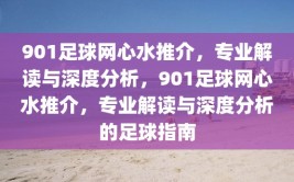 901足球网心水推介，专业解读与深度分析，901足球网心水推介，专业解读与深度分析的足球指南