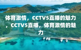 体育激情，CCTV5直播的魅力，CCTV5直播，体育激情的魅力