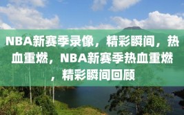 NBA新赛季录像，精彩瞬间，热血重燃，NBA新赛季热血重燃，精彩瞬间回顾