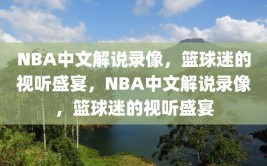 NBA中文解说录像，篮球迷的视听盛宴，NBA中文解说录像，篮球迷的视听盛宴