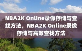 NBA2K Online录像存储与查找方法，NBA2K Online录像存储与高效查找方法