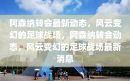 阿森纳转会最新动态，风云变幻的足球战场，阿森纳转会动态，风云变幻的足球战场最新消息