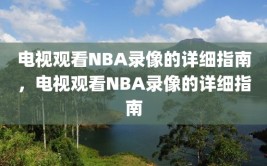 电视观看NBA录像的详细指南，电视观看NBA录像的详细指南