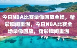 今日NBA比赛录像回放全场，精彩瞬间重温，今日NBA比赛全场录像回放，精彩瞬间重温