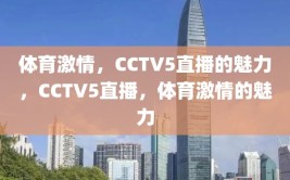 体育激情，CCTV5直播的魅力，CCTV5直播，体育激情的魅力