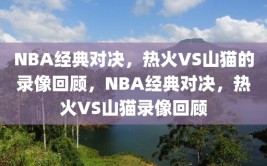 NBA经典对决，热火VS山猫的录像回顾，NBA经典对决，热火VS山猫录像回顾