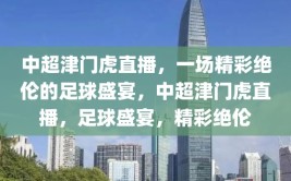 中超津门虎直播，一场精彩绝伦的足球盛宴，中超津门虎直播，足球盛宴，精彩绝伦