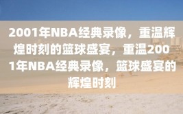 2001年NBA经典录像，重温辉煌时刻的篮球盛宴，重温2001年NBA经典录像，篮球盛宴的辉煌时刻