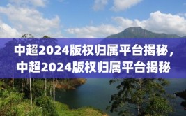 中超2024版权归属平台揭秘，中超2024版权归属平台揭秘